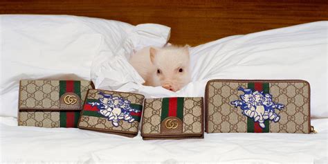 gucci pig brooch|Gucci brooch price.